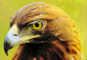 EAGLES NEST FLASHBACK episode artwork