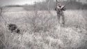 Cooper the blind bird hunting dog