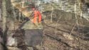 Kentucky Turkey Hunt